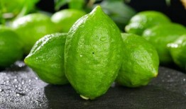 香水柠檬爆料视频大全,揭秘热门视频大全背后的故事